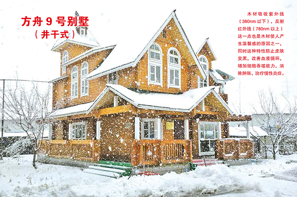 ����9�ű���������ʽ��